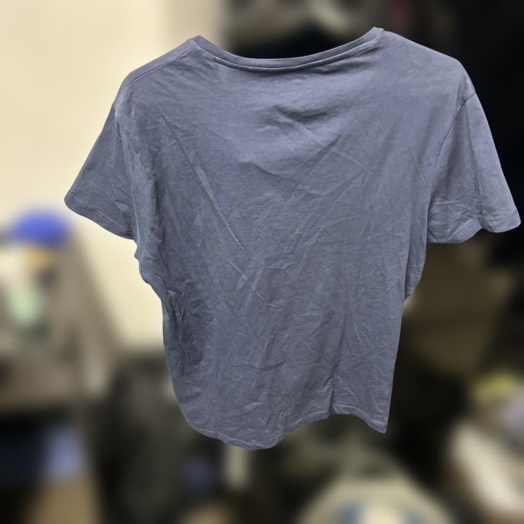 B'z 稲葉さん着用 GAS Tシャツ HINOTORI M 美品