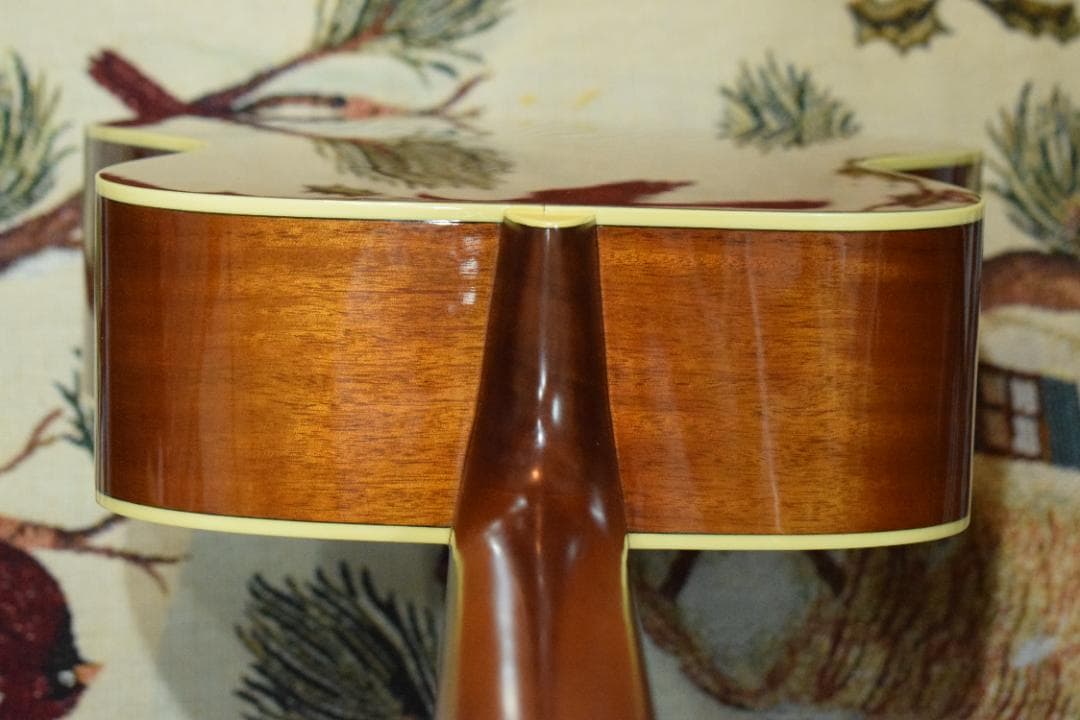 YAMAHA ヤマハ FS720S TBS ケース付き アコギ