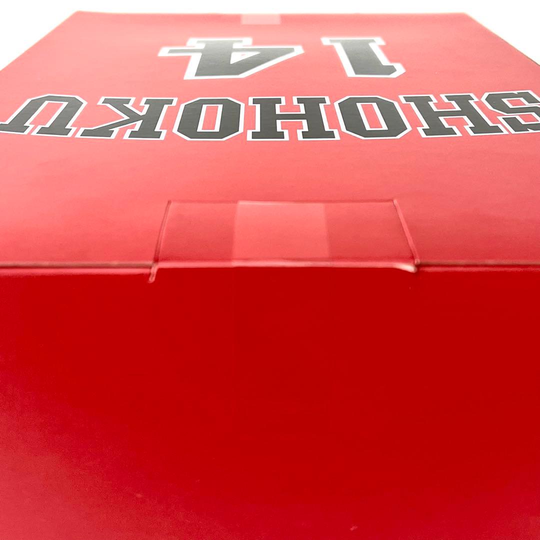 【新品未開封】 スラムダンク 三井寿 スピリットコレクション 井上雄彦