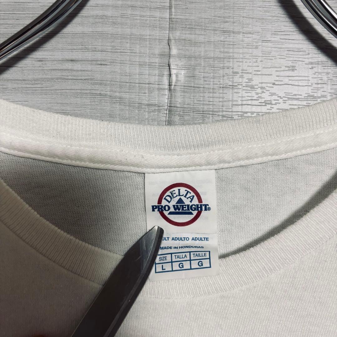 【入手困難】ディズニー　スプラッシュマウンテン　Tシャツ　Lサイズ　ヴィンテージ