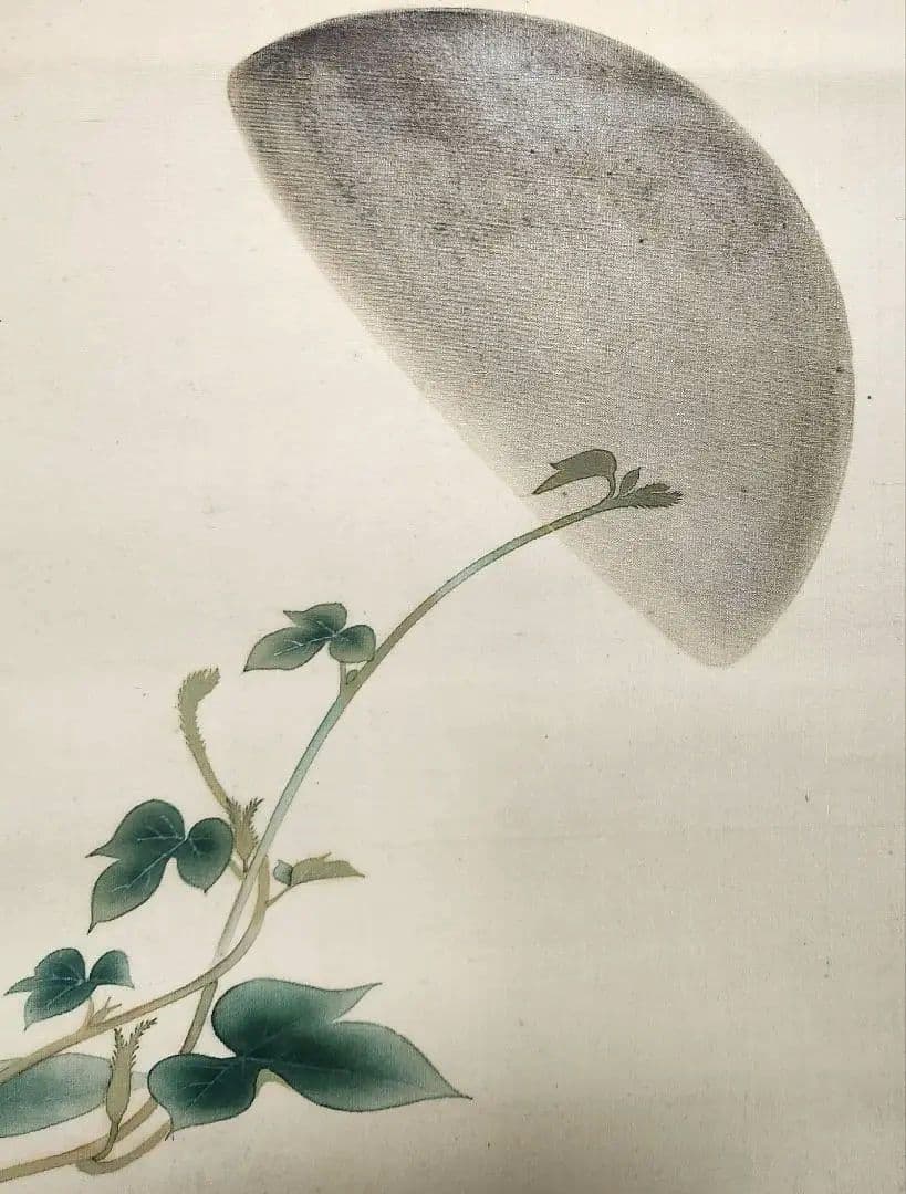 【朝顔に半月図】黒田古郷 2612 アサガオと月夜 掛け軸　肉筆