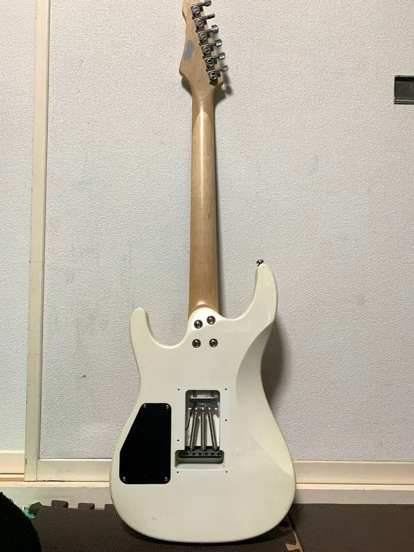 Aria Pro Ⅱ アリアプロ MAC series ジェイル風仕上げ