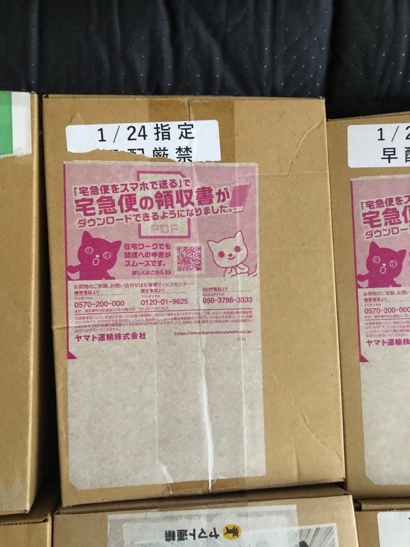 100%本物保証　バトルパートナーズ　ポケモンセンター産　1/24 初版