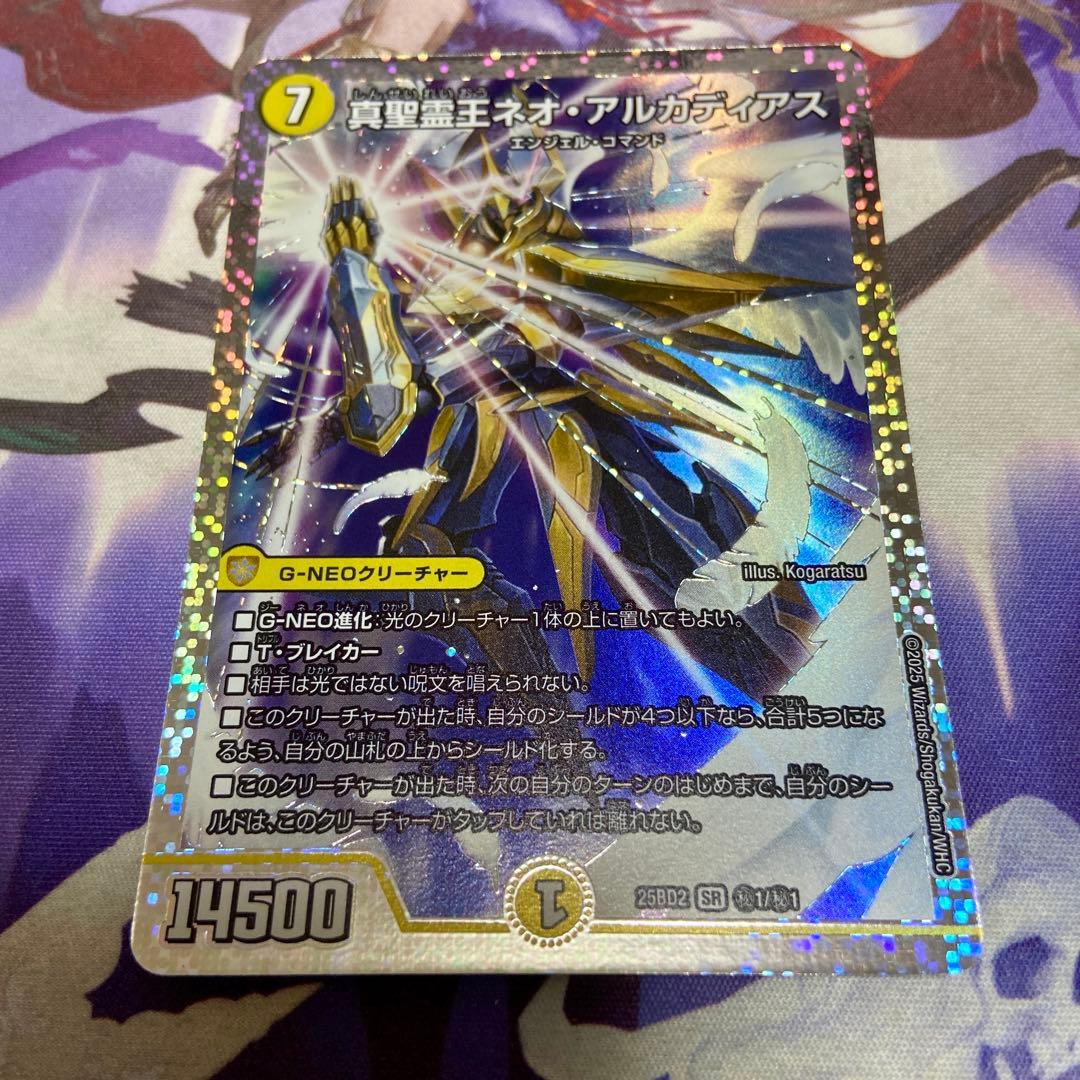 真聖霊王ネオアルカディアス シークレット アルカディアスの書