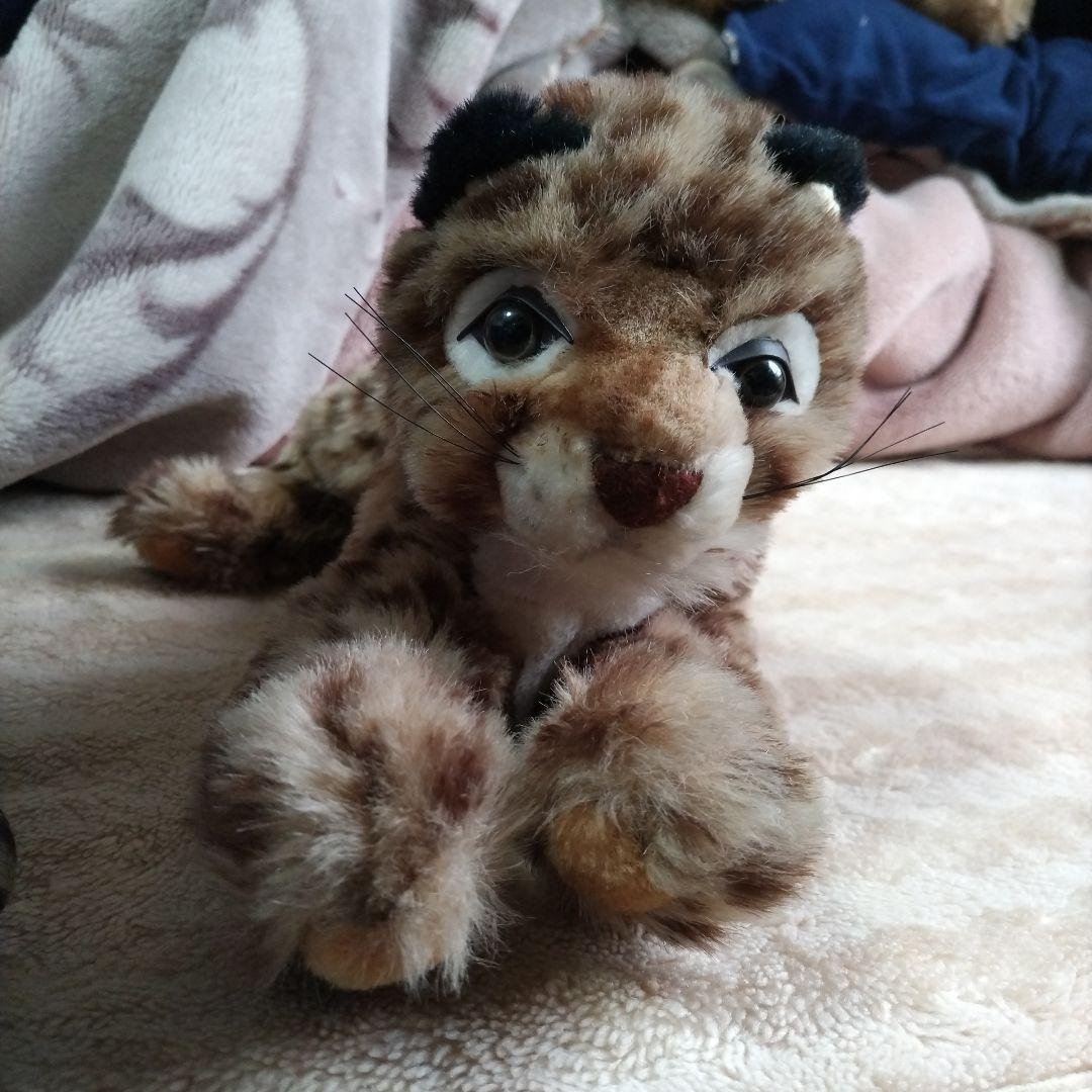 Piutre ヒョウの子供