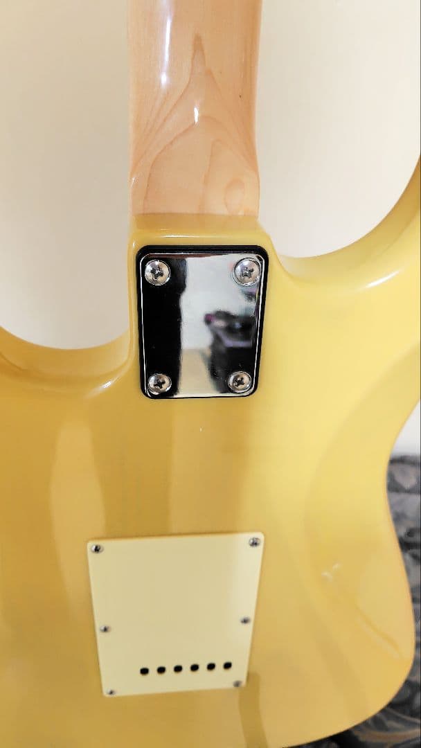 Ｂucchus ストラトタイプ　　　 (入手困難 生産中止モデル)