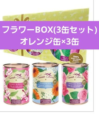 テラカニス フラワーギフトBOX/オレンジ缶×6/ネイチャーターキー