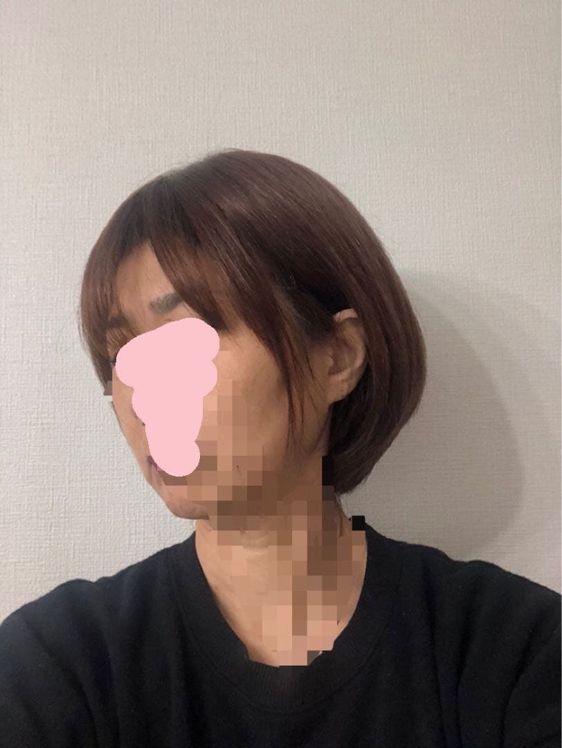 人毛100% ショートボブ ブラウン 未使用