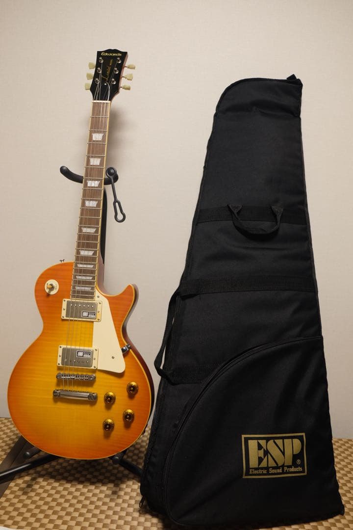 Edwards E-LP-90LTS 2005年　国産　ほぼデッドストック