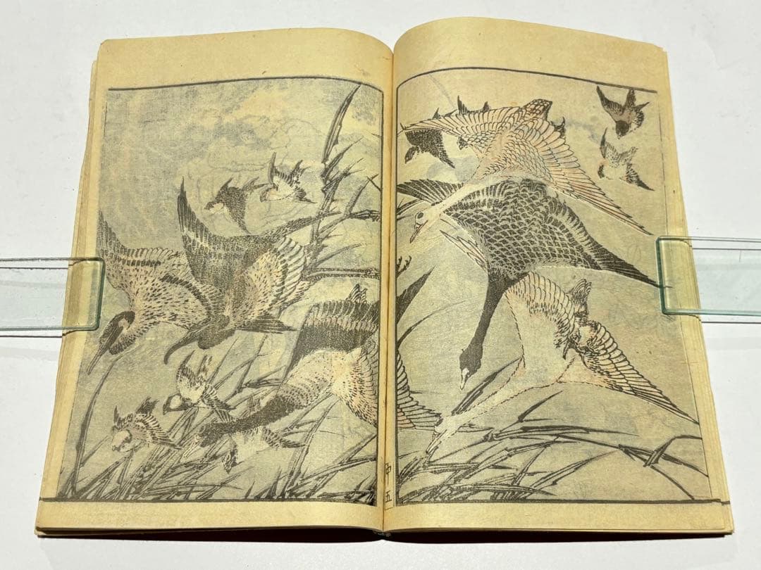 「北斎画譜 中巻」葛飾北斎 明治期刊 1冊|和本 古典籍 浮世絵