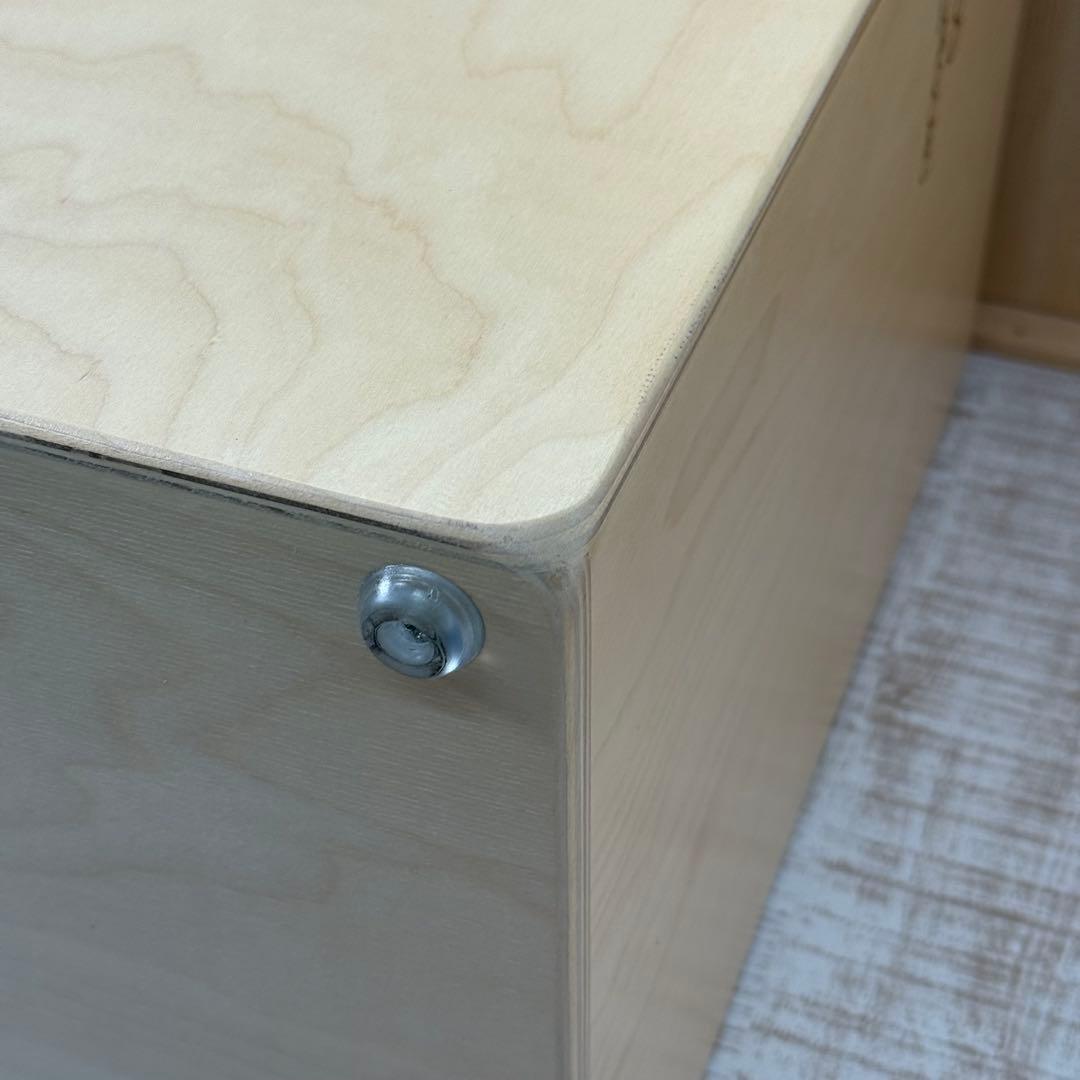 De gregorio bravo カホン cajon ケース付　打楽器