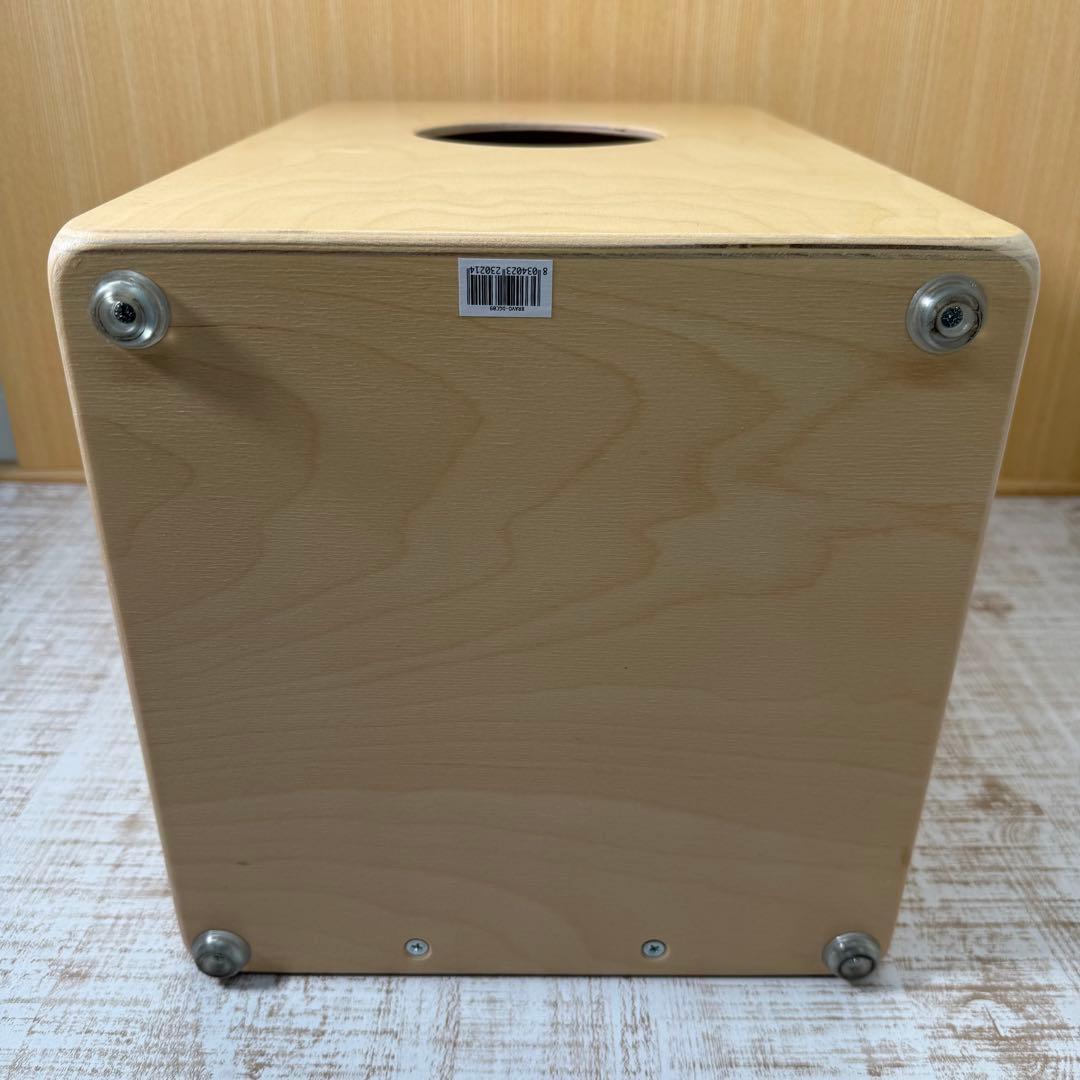 De gregorio bravo カホン cajon ケース付　打楽器