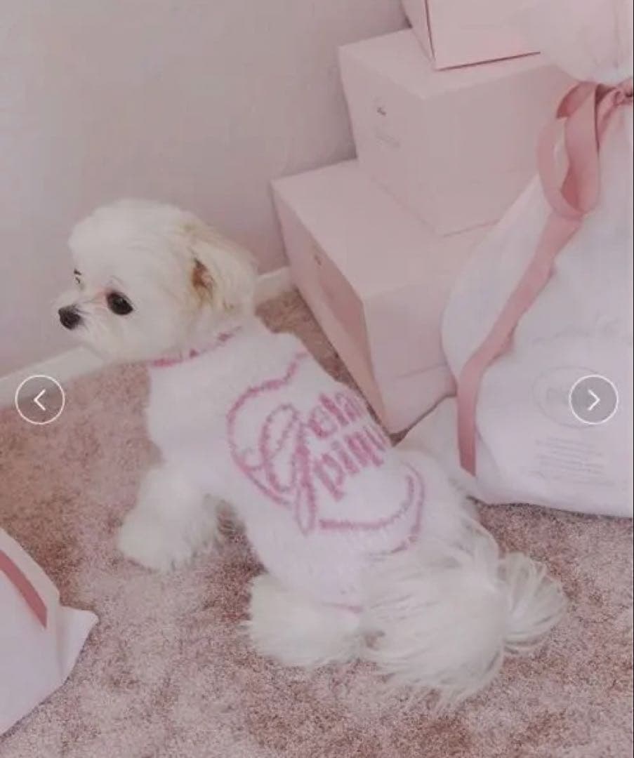 新品2点Mサイズ【HOLIDAY】【CAT&DOG】キラキラフェザープルオーバー