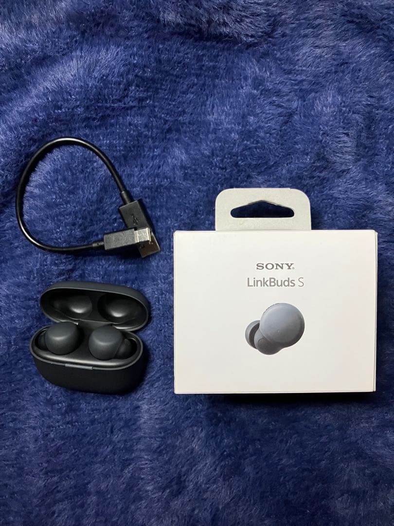 Sony LinkBuds S ブラック WF-LS900N/BC