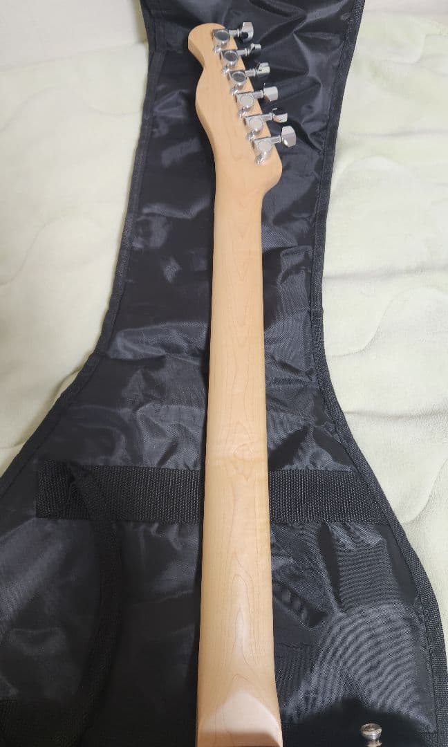 Bacchus　BTE-1R/BLK　テレキャスター