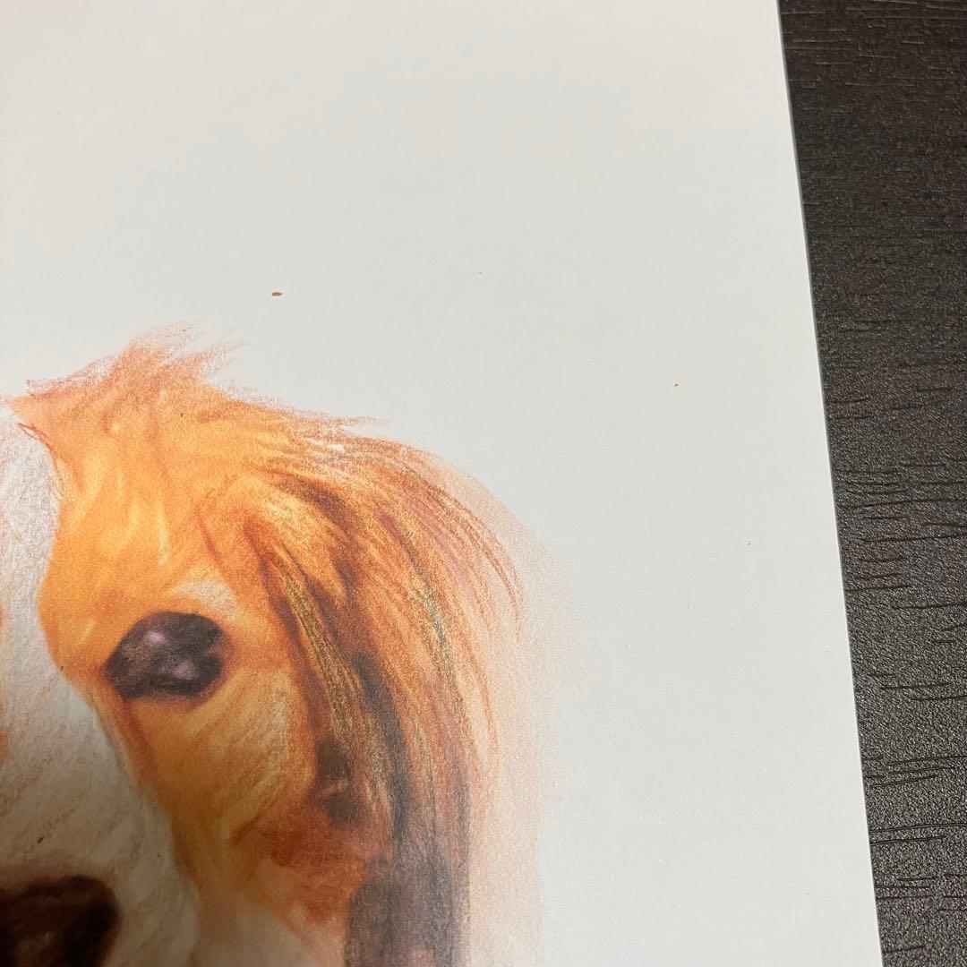 【コーイケルホンデュエ成犬】額装品　額縁寸法32.7㎝×24.0㎝×1.5㎝