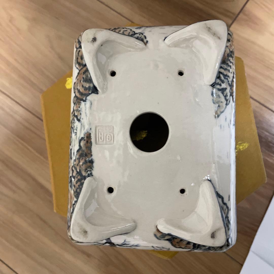 盆栽鉢　桑津香石　山野草　絵鉢