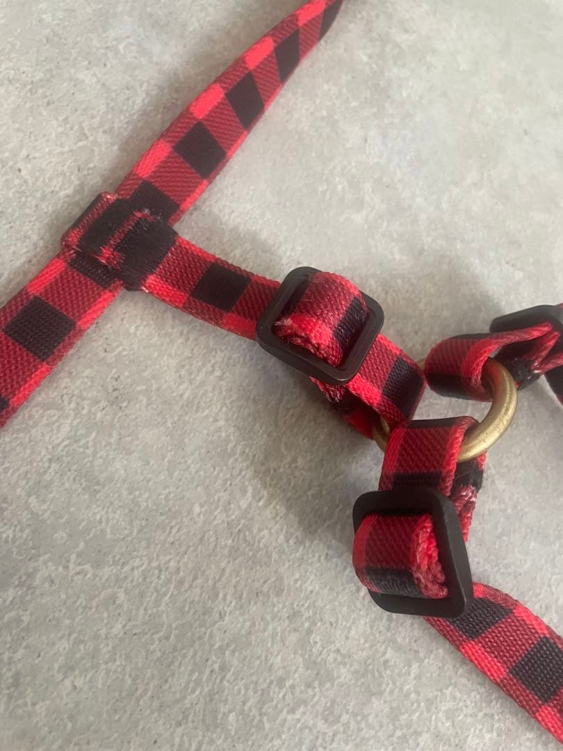 ciiron ハーネスとリードセット Michael