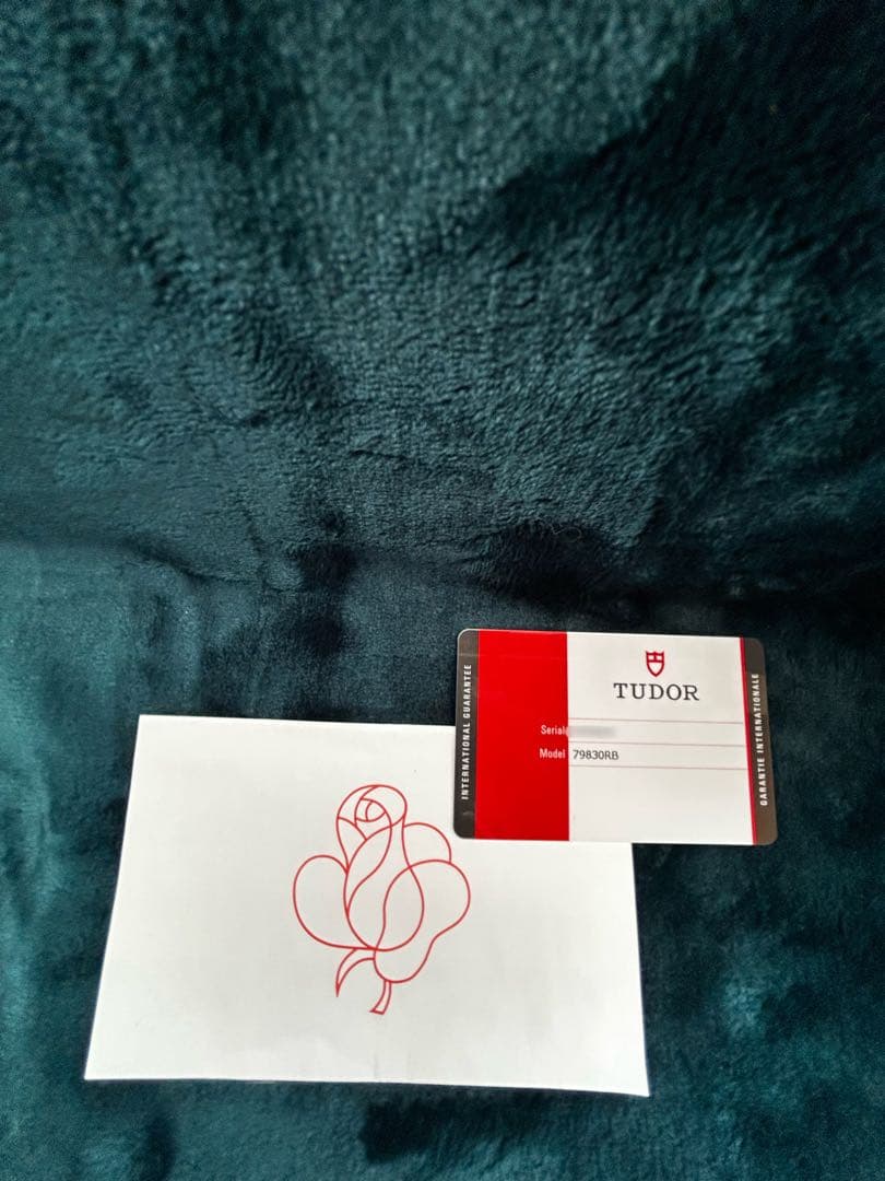 TUDOR GMT チューダー　ブラックベイ　自動巻き腕時計　USED中古品