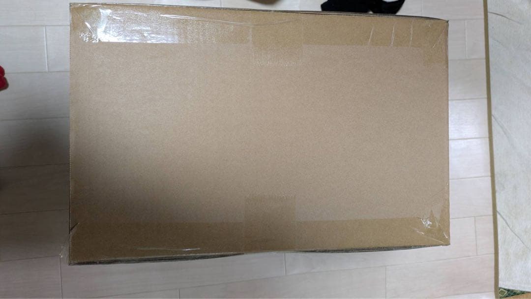 少年リック 限定版 東宝30cmシリーズ ゴジラ(2023) フィギュア