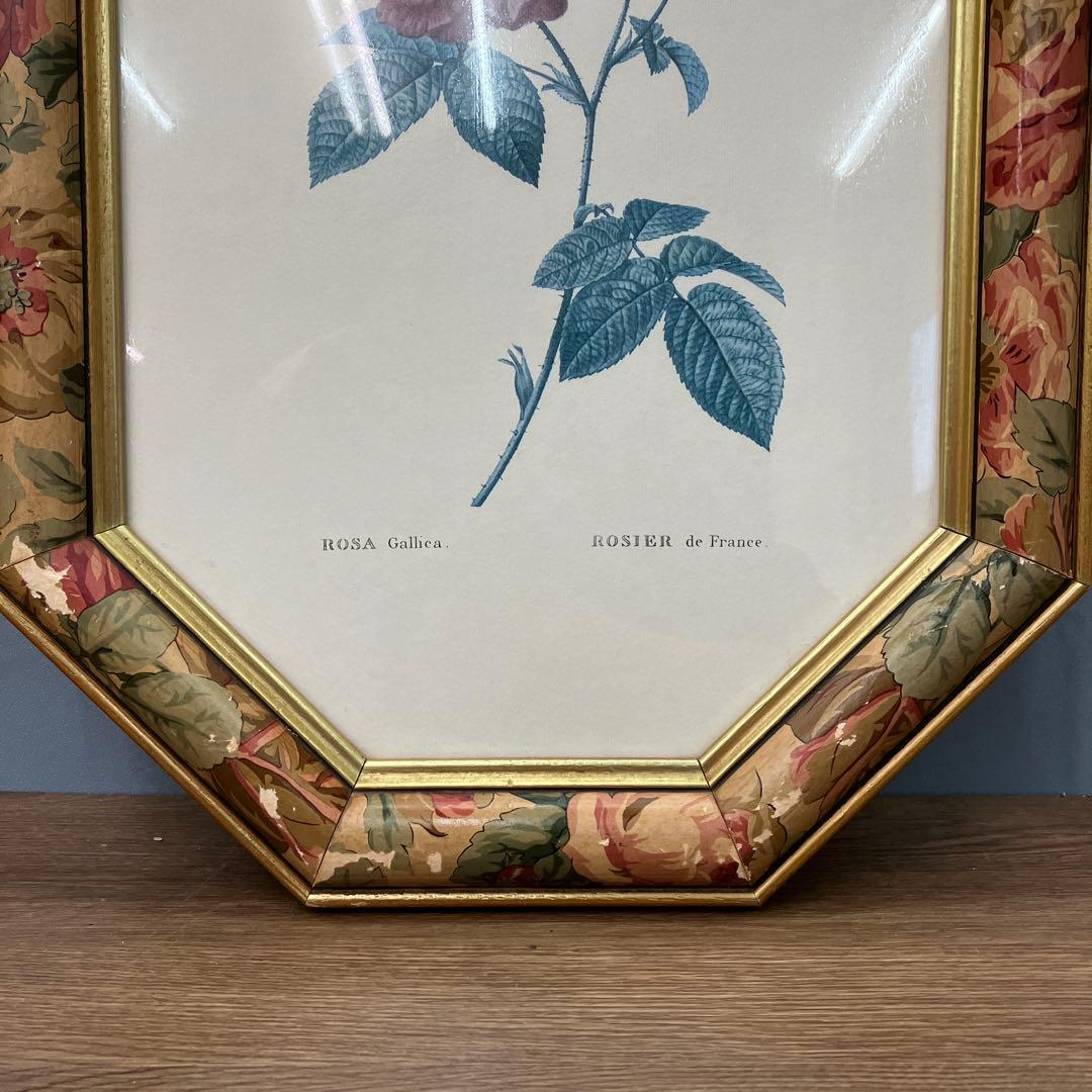 【イタリア製】ボタニカルアート 八角形 額縁 額装 薔薇 ロサ・ガリカ 花 絵画