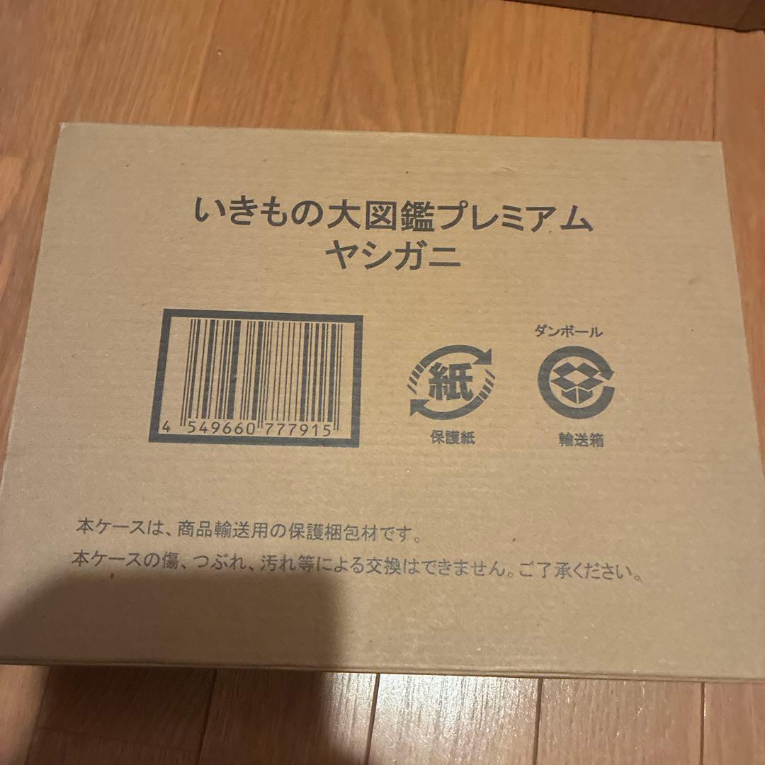 ピ*ノ様 いきもの大図鑑　ヤシガニ