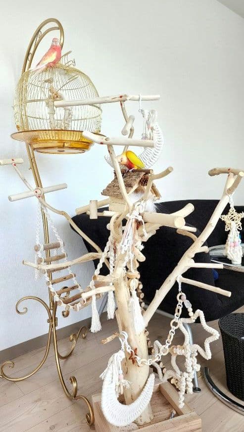 鳥かご ケージ スタンド セット インコ