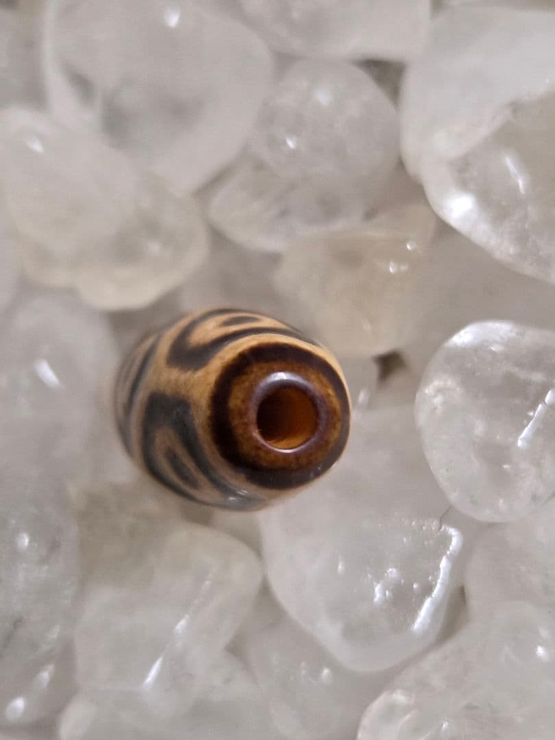 908　天珠　上肯　亀甲長壽九眼天珠　dzibeads！