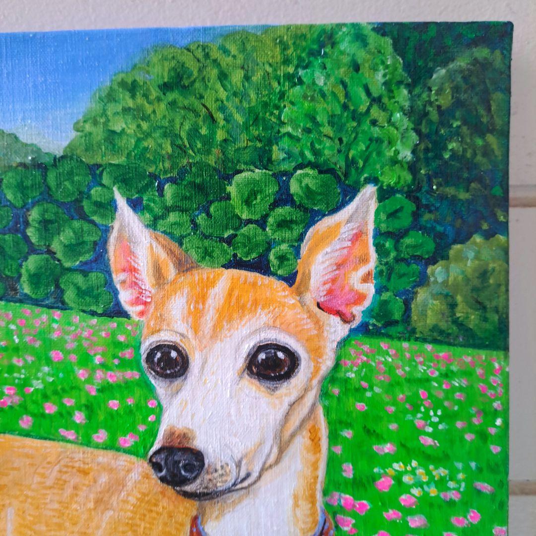 専用　油絵　イタリアングレーハウンドの美しいMickeyちゃんと小花咲く草原