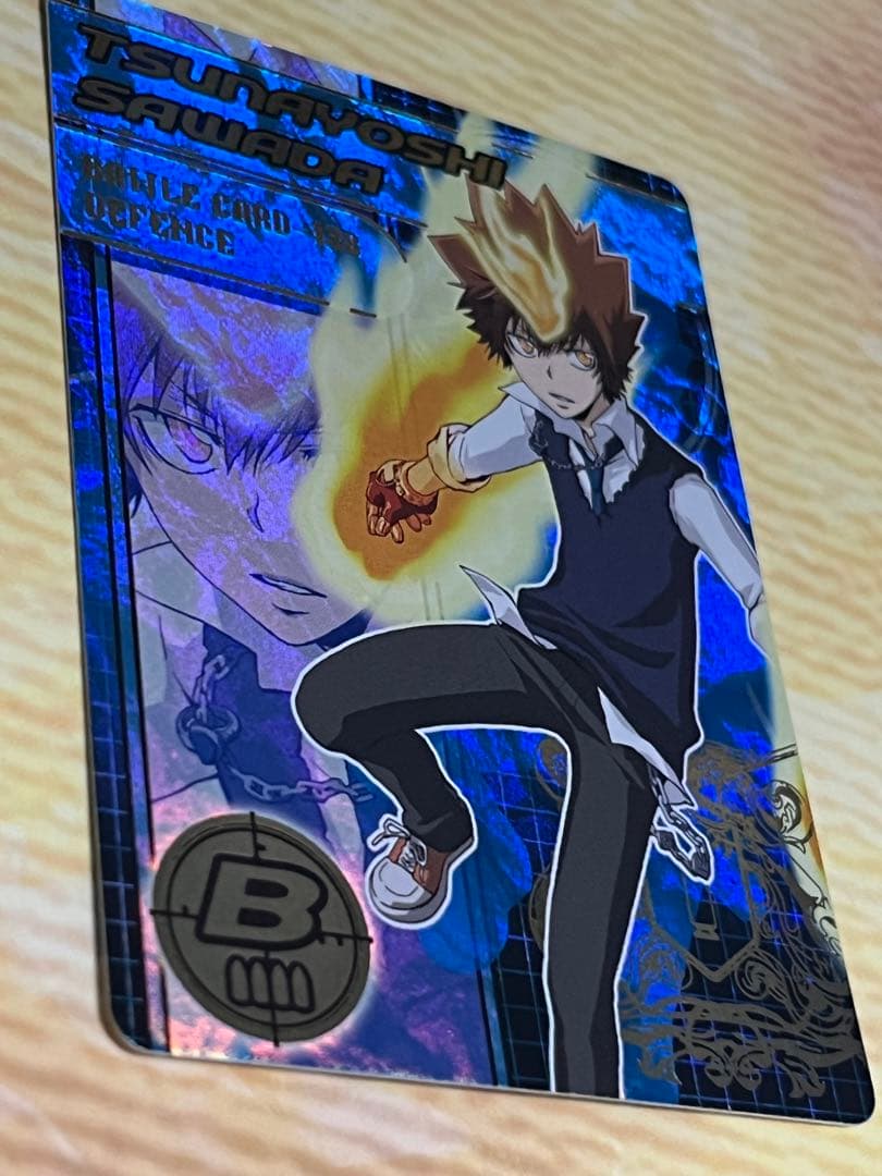 家庭教師ヒットマンREBORN 沢田綱吉　サザンクロスバトル