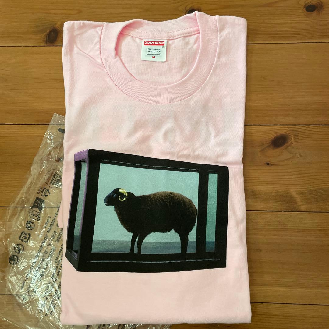 Supreme / Damien Hirst Tee ピンク