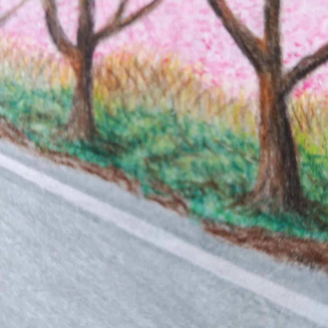 絵画色鉛筆風景画『富士と桜並木』原画