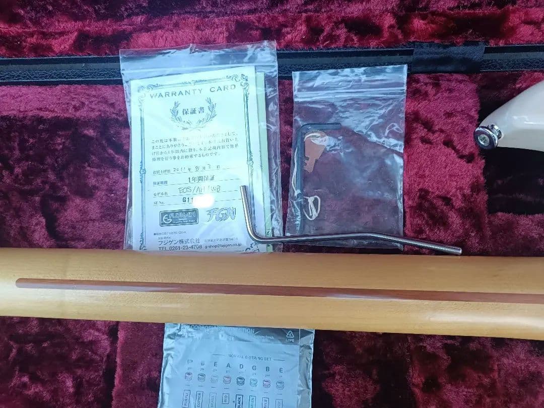 FUJIGEN　EOS ASH WB ギター（セミオーダー品）　ハードケース付