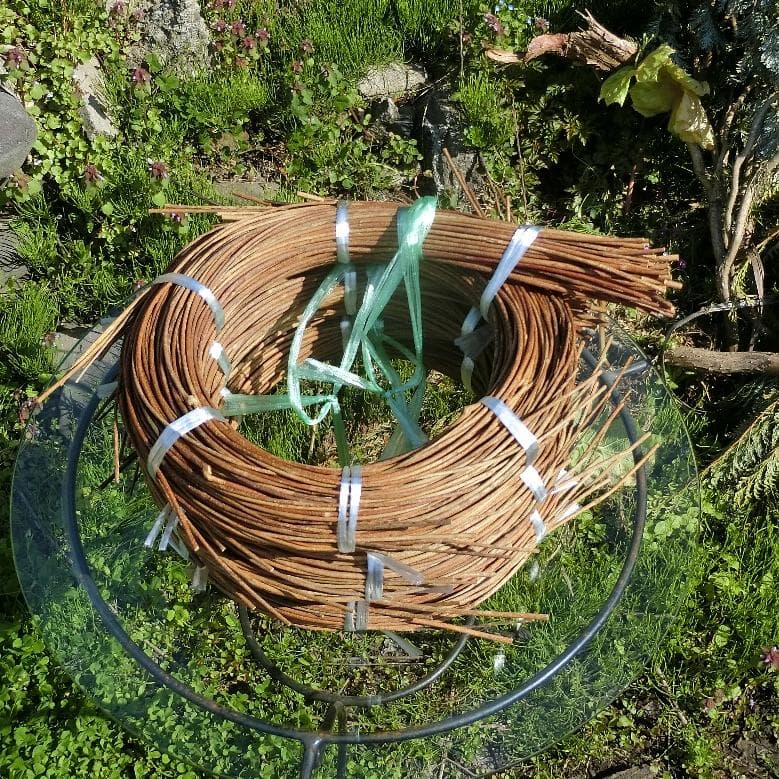 michifurano213　青森岩木山　あけび蔓　150cm～ 3kg