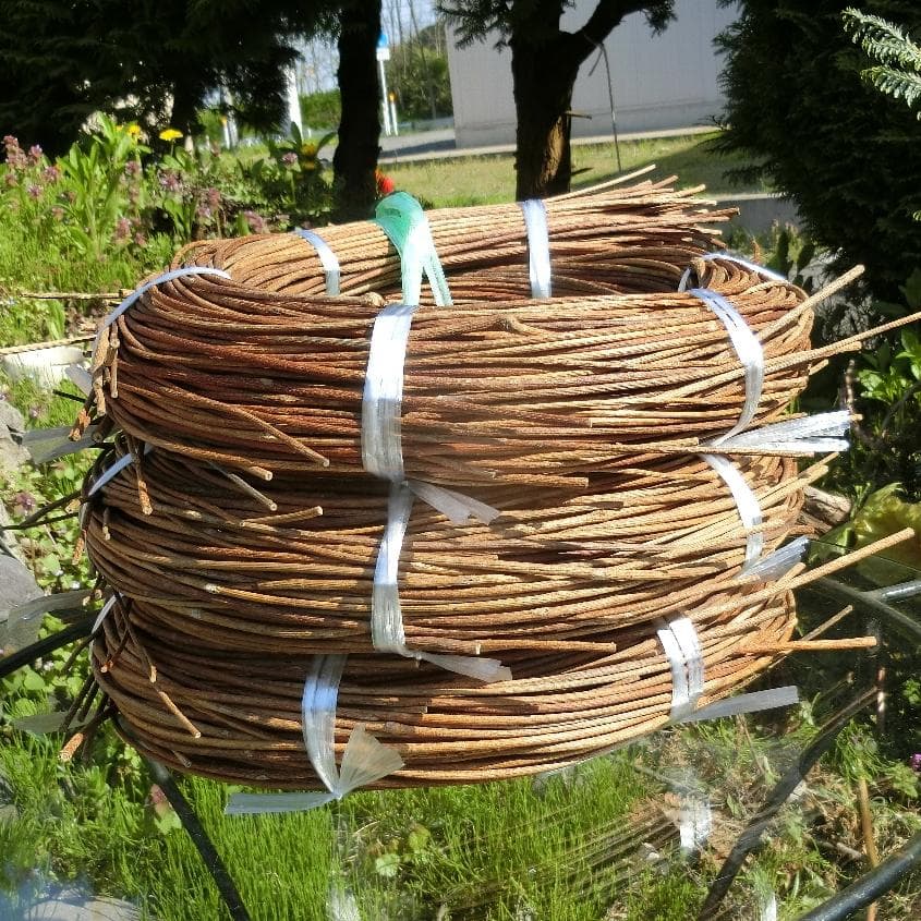 michifurano213　青森岩木山　あけび蔓　150cm～ 3kg