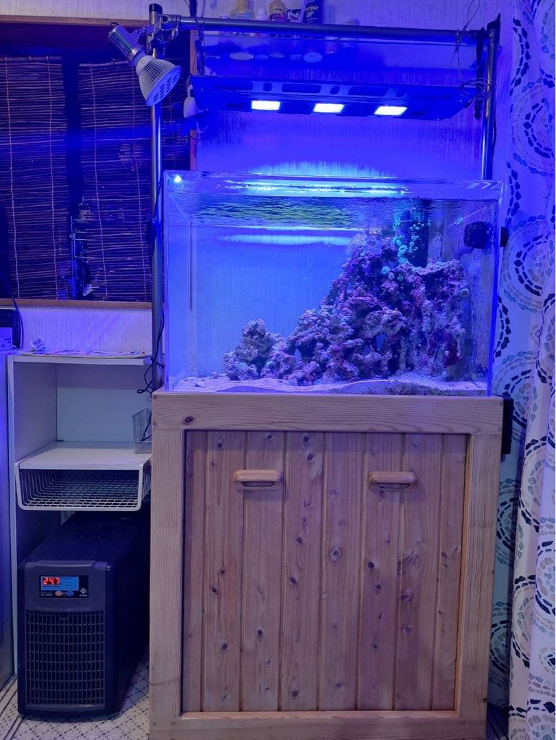 オーバーフロー水槽一式 アクリル750×500×500スプラッシュオリジナル