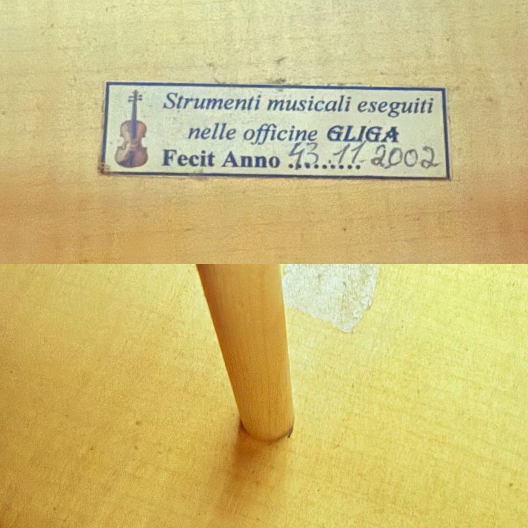 弦楽器 Gliga Strumenti musicali eseguiti 4/4