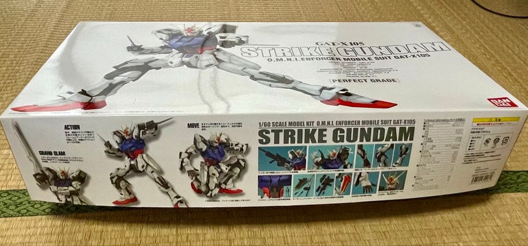 【PG】ストライクガンダム＋【PG】スカイグラスパー＋オマケガンプラ（未組立品)