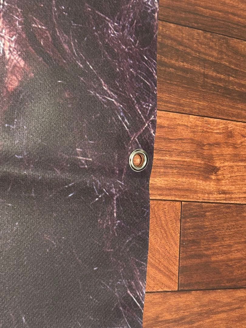 【レア】WIND BREAKER 十亀条　映画布ポスター