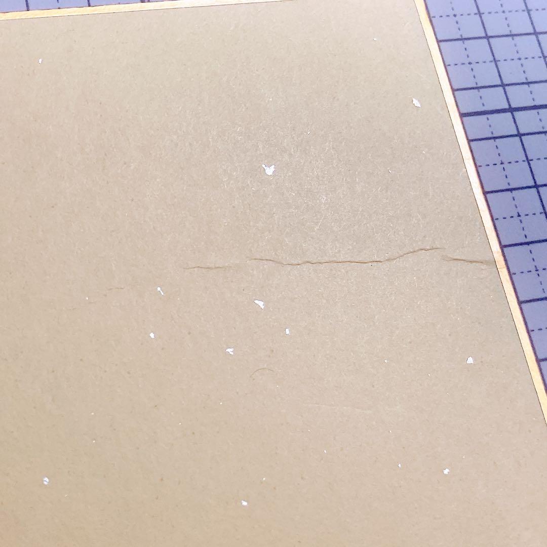 ディア♥ヴォーカリスト Evolve 色紙 直筆サイン入り モモチ