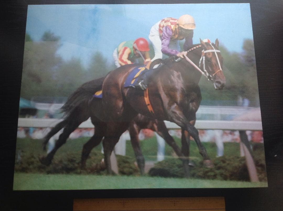 競馬パネル：トウショウボーイ「1977年 第7回高松宮杯」※カラー直線