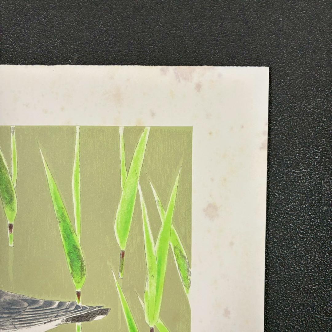 上村淳之「春汀」リトグラフ 直筆サイン・印章・発行証有 古径額 上村松園 花鳥