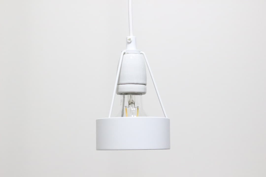 ルイスポールセン Pakhus パークフース ペンダントライト ランプ 北欧 1