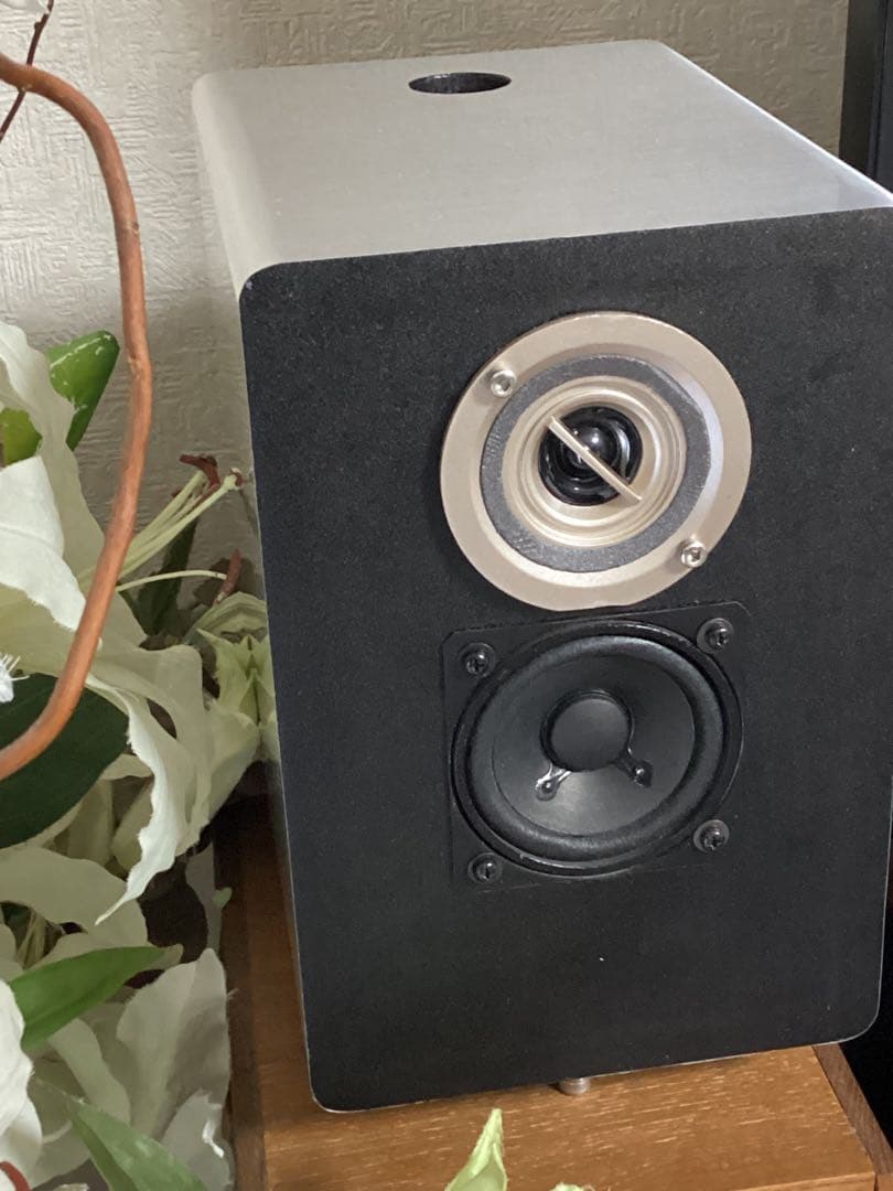 8㎝2way＋12㎝鉛付加フルレンジ　キレキレの異色品