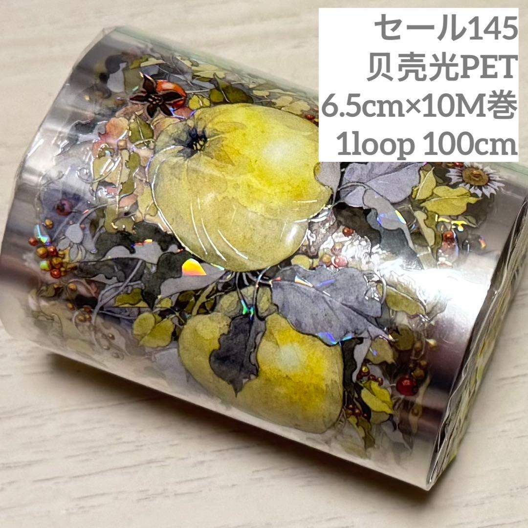 セール145 海外 PETテープ マスキングテープ