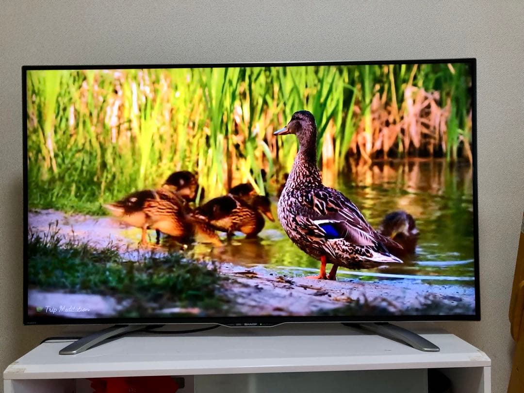 美品 SHARP 50インチ 4K 液晶テレビ LC-50U30 50型