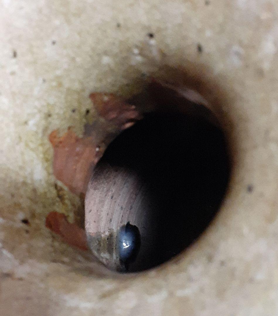 伝】平安～鎌倉時代　古瀬戸　灰釉　双耳広口　壺【検索　須恵器　猿投　新羅　土器