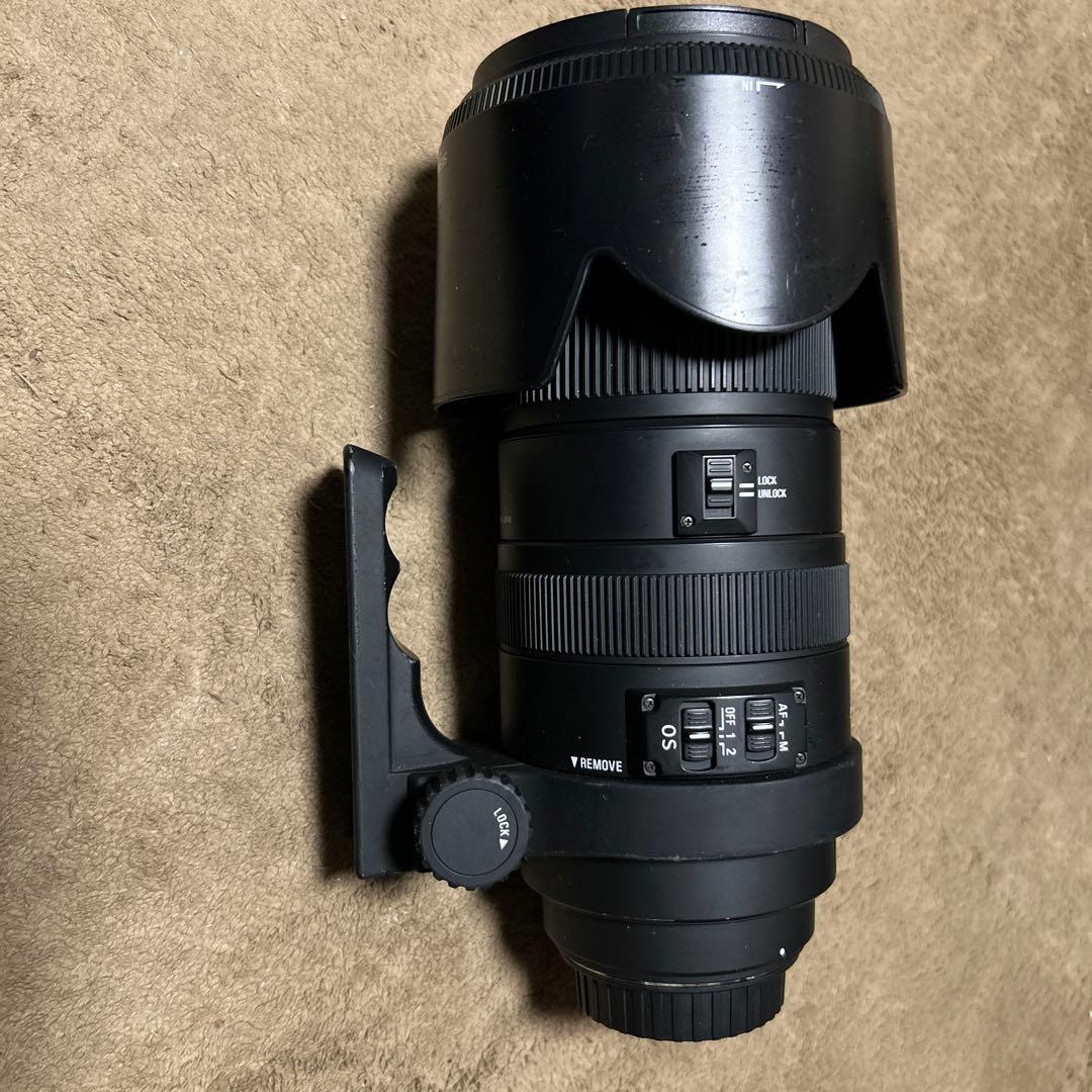 シグマ50-500mm F4.5-6.3 DG OS HSM キヤノン用