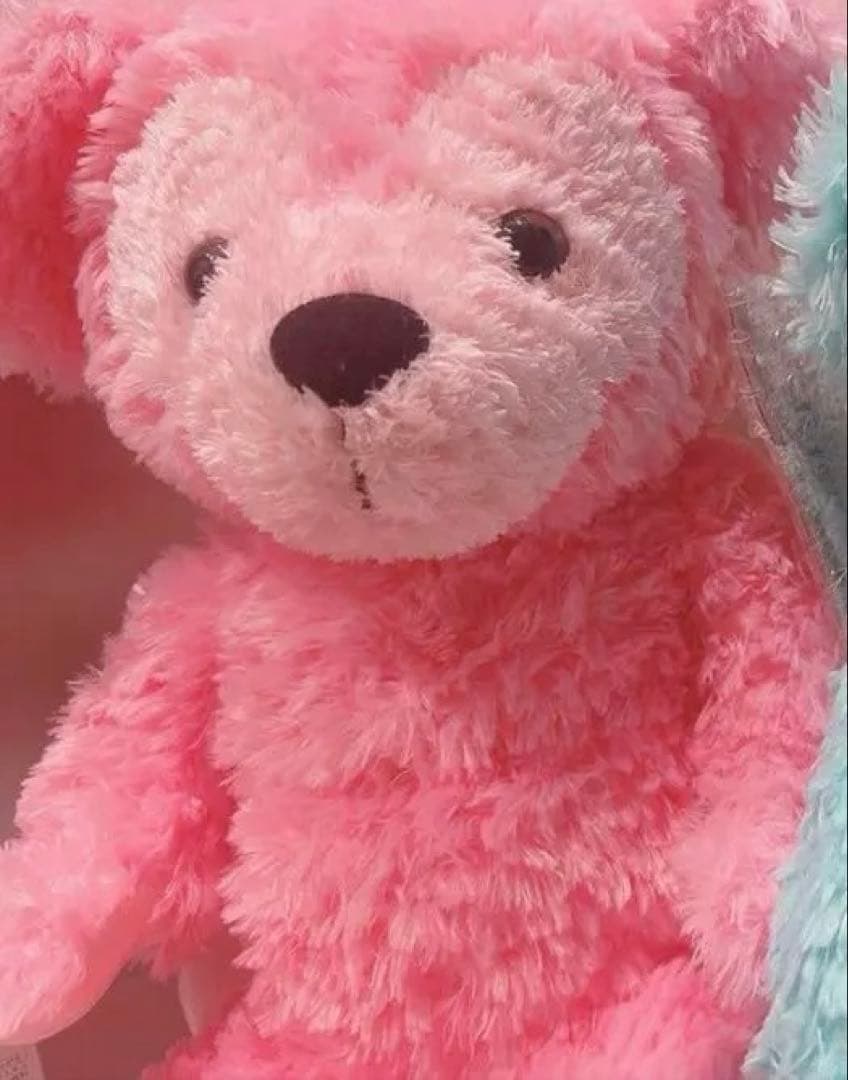 WDW ダッフィー ディズニーベア カラーダッフィー ピンク