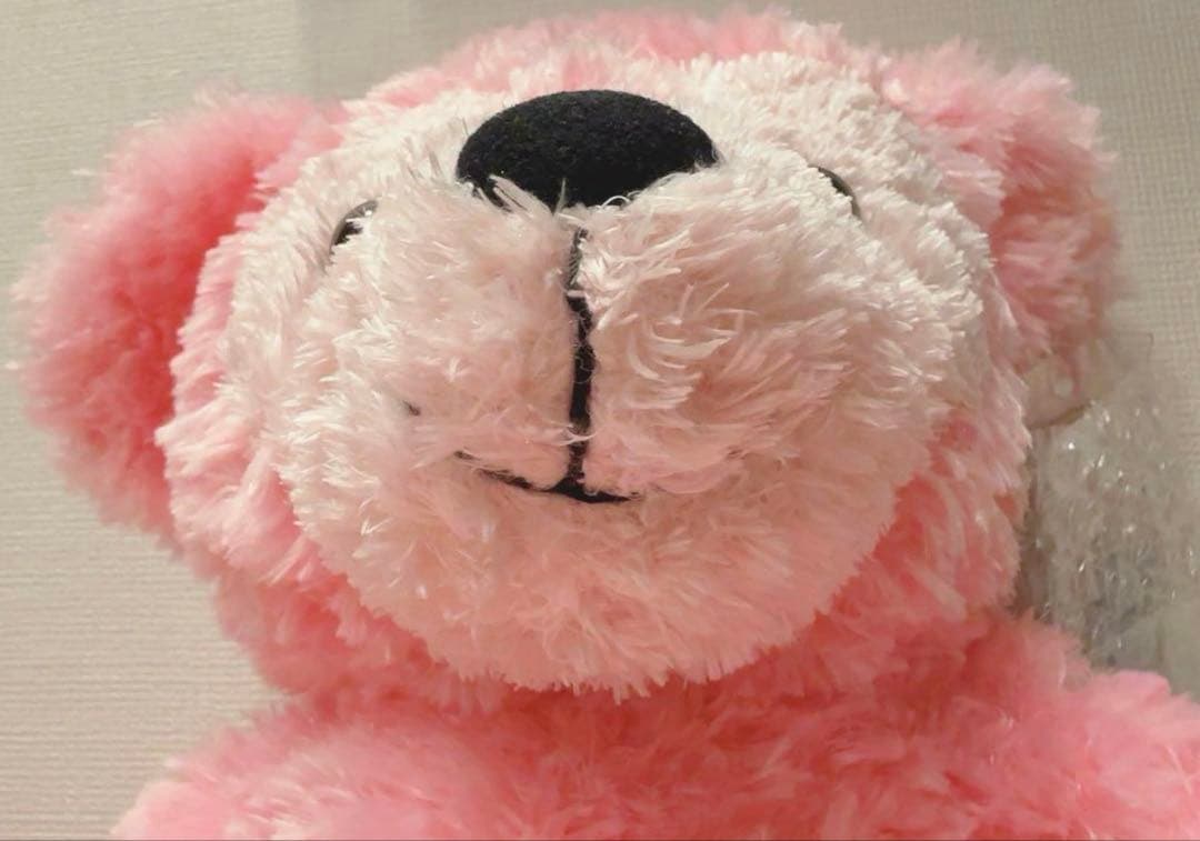 WDW ダッフィー ディズニーベア カラーダッフィー ピンク